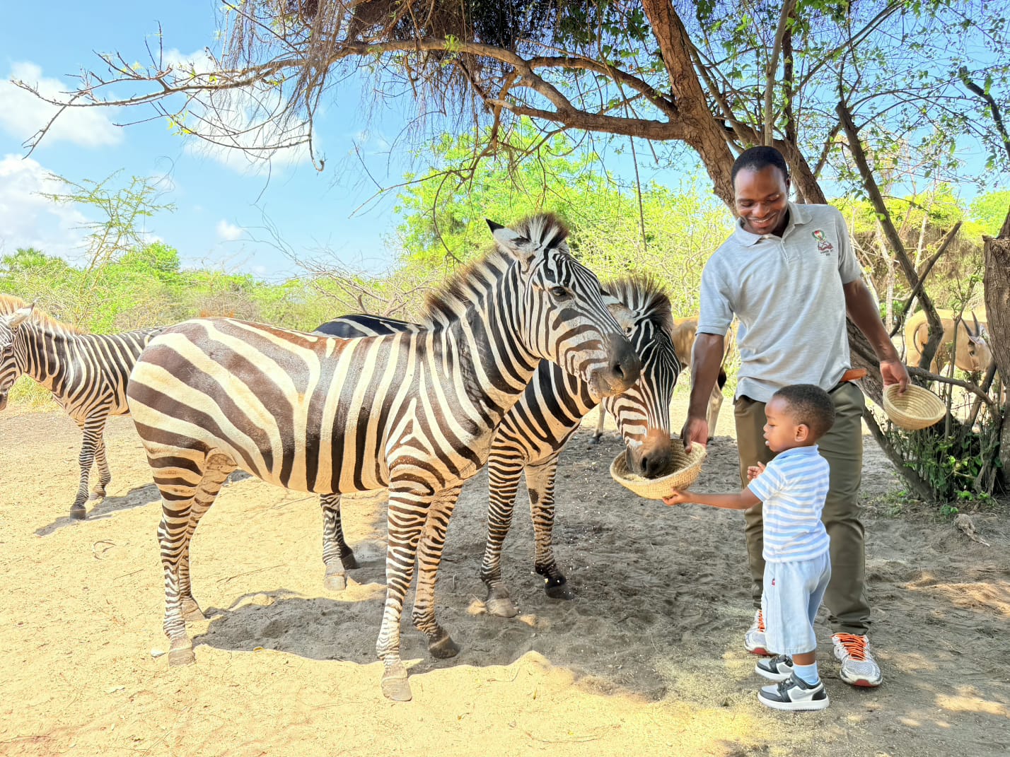 Children Having Outdoor Picnic at Preschool
